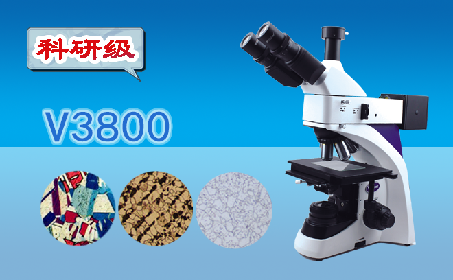 1724897901112493.png 金相顯微鏡.png